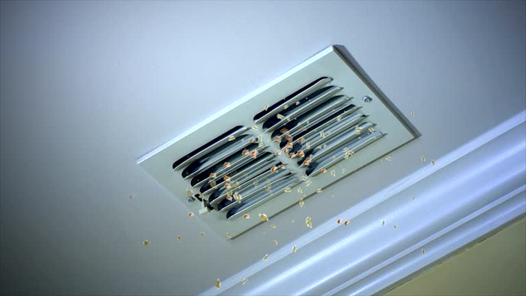 Best Affordable Duct Cleaning Services  in Boone, IA