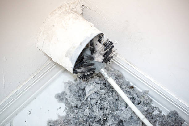 Best Professional Duct Cleaning Services  in Boone, IA